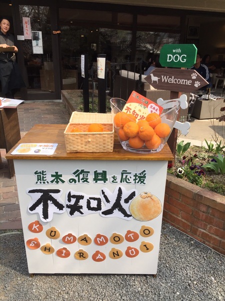 不知火ケーキ（塚腰運送） 016.JPG